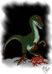 Velociraptor antirrhopus WILD VARIANT by devilkais