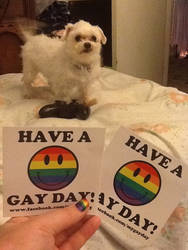 Have a gay day!