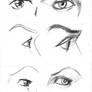 Study Set 1 - Eyes