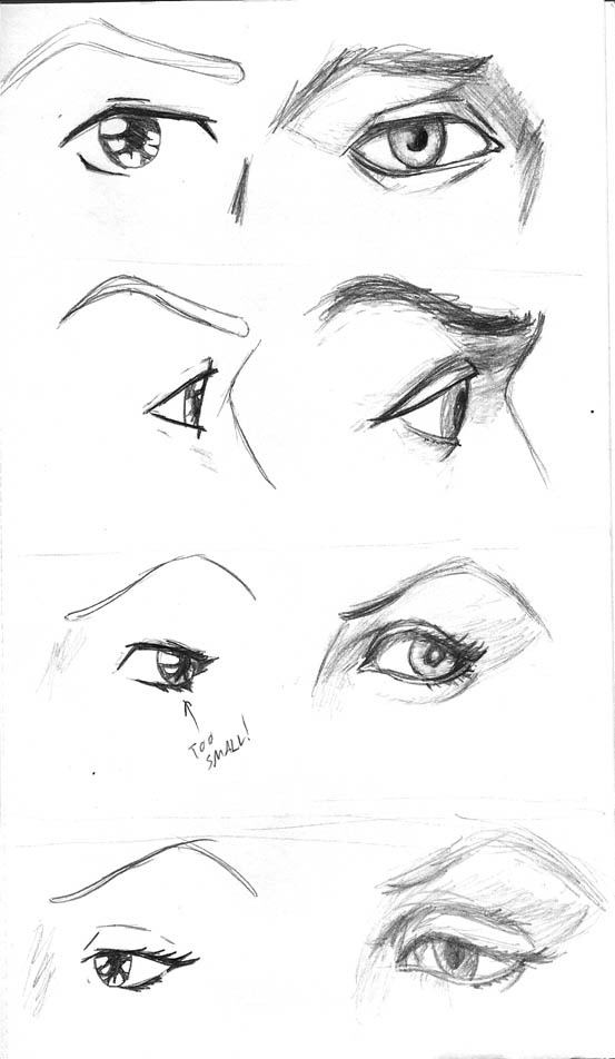 Study Set 1 - Eyes