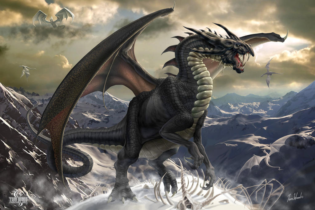 Rogue Dragon by TomWoodFantasyArt on DeviantArt