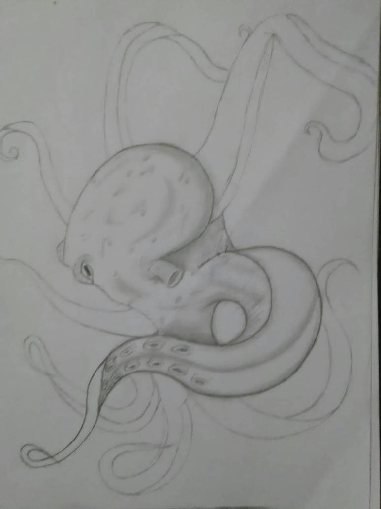 octupus drawing what do u think should i finish? by drawingwithmeris on ...