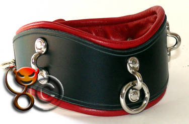 Padded leather collar