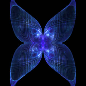 Sapphire Butterfly