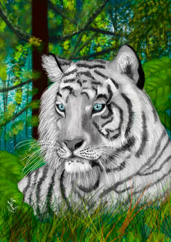 White tiger II