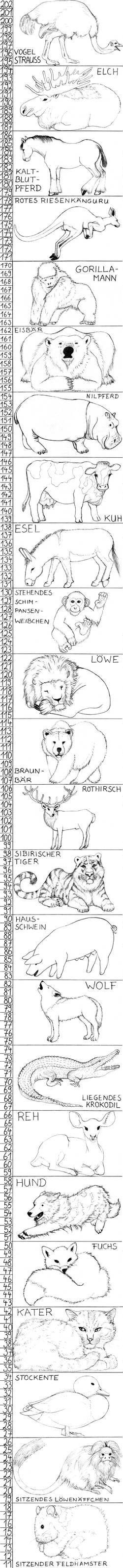 Animal Measuring Rod