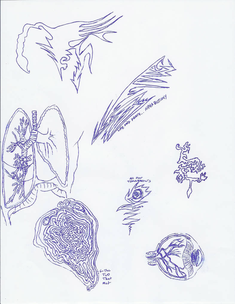 Doodles of Anatomy + by HUMANSasORNAMENTS on DeviantArt