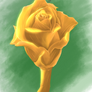 Golden Rose.