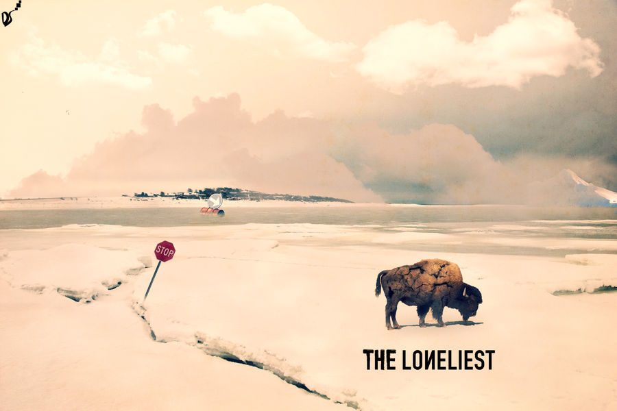 The Loneliest