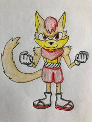 Sonic F.C.: Sir Fetcher The Shiba Inu