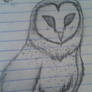 Barn Owl practice