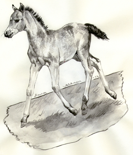 Little Foal 2