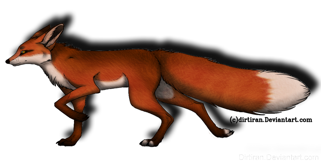 It's a Fox