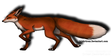 It's a Fox