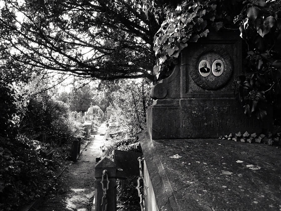 Old cemetery II