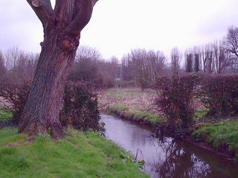 Salt Hill Stream , Slough , UK