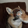 steampunk coyote