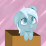 Filly Box