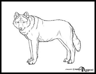 Free lineart-Wolf