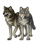 Pixel wolves