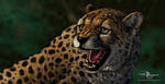Hissing Cheetah by makangeni