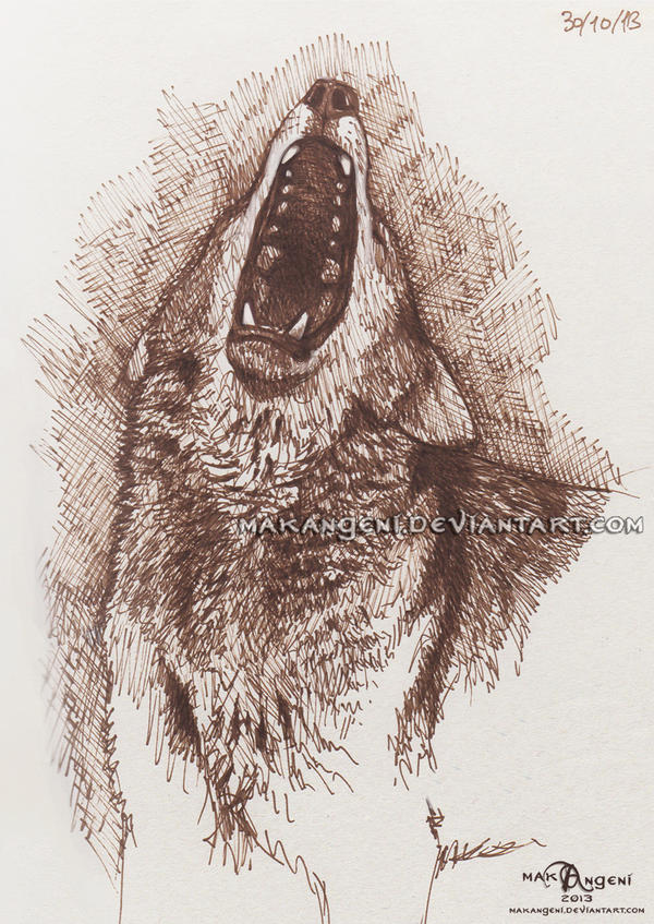 Howling red wolf sketch