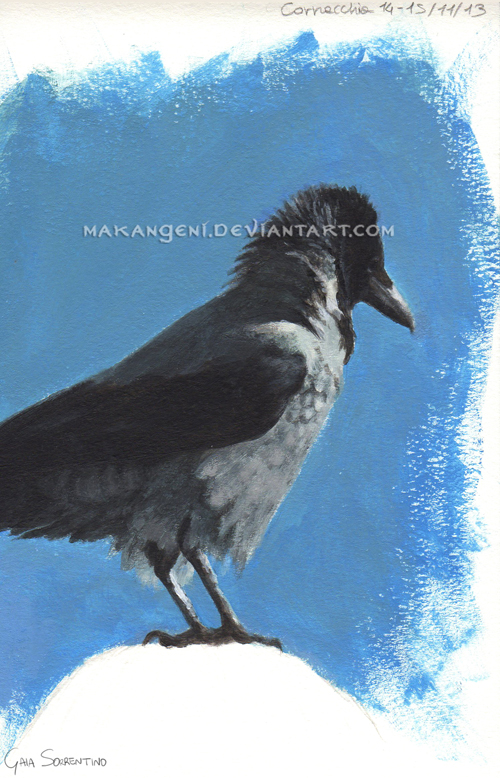 Hooded crow acrylic