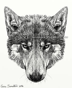 Wolf head 2