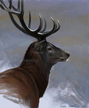 Red Deer I