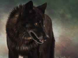 Black Wolf II