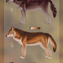 Wolf Adopts - OPEN - 2 LEFT