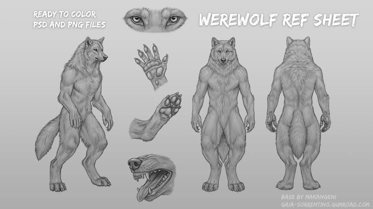 Werewolf Rectnum Werewolf Ref Sheet - Lineart Set by makangeni on DeviantArt