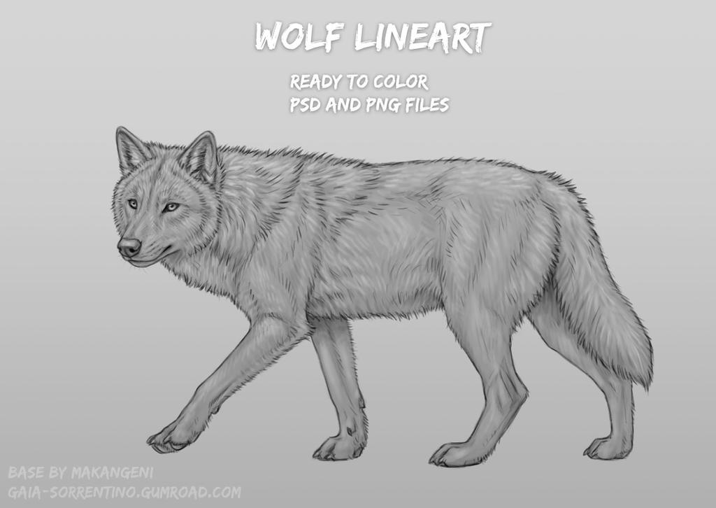 Basic Wolf Lineart Wolf Lineart by makangeni on DeviantArt