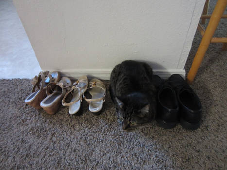 I is shoes.