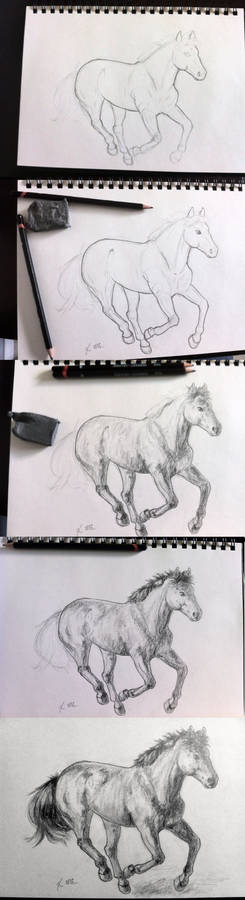Gallop Sketch Progression