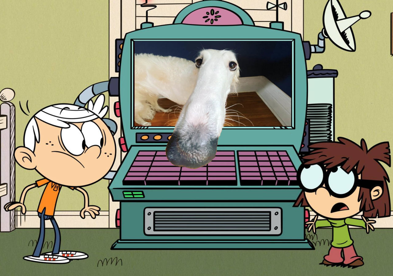 dumbass dog breaks the computer screen by discorocker12 on DeviantArt