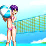 Beach Volleyball
