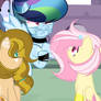 No! It wasn't me!! ( Mlp next gen)