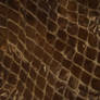 Snake Skin Texture 1