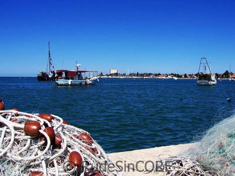 Croatia - Harbor Umag I