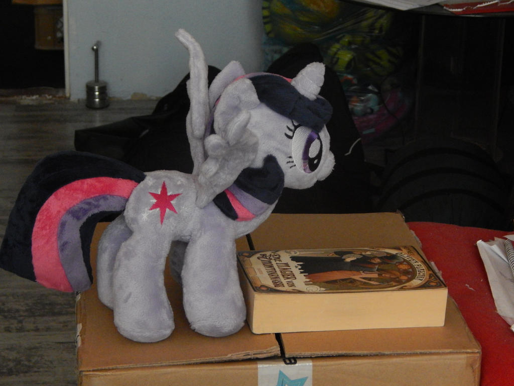 Twilight found my favorite book.