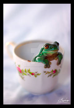 A Cup O' Frog