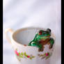 A Cup O' Frog