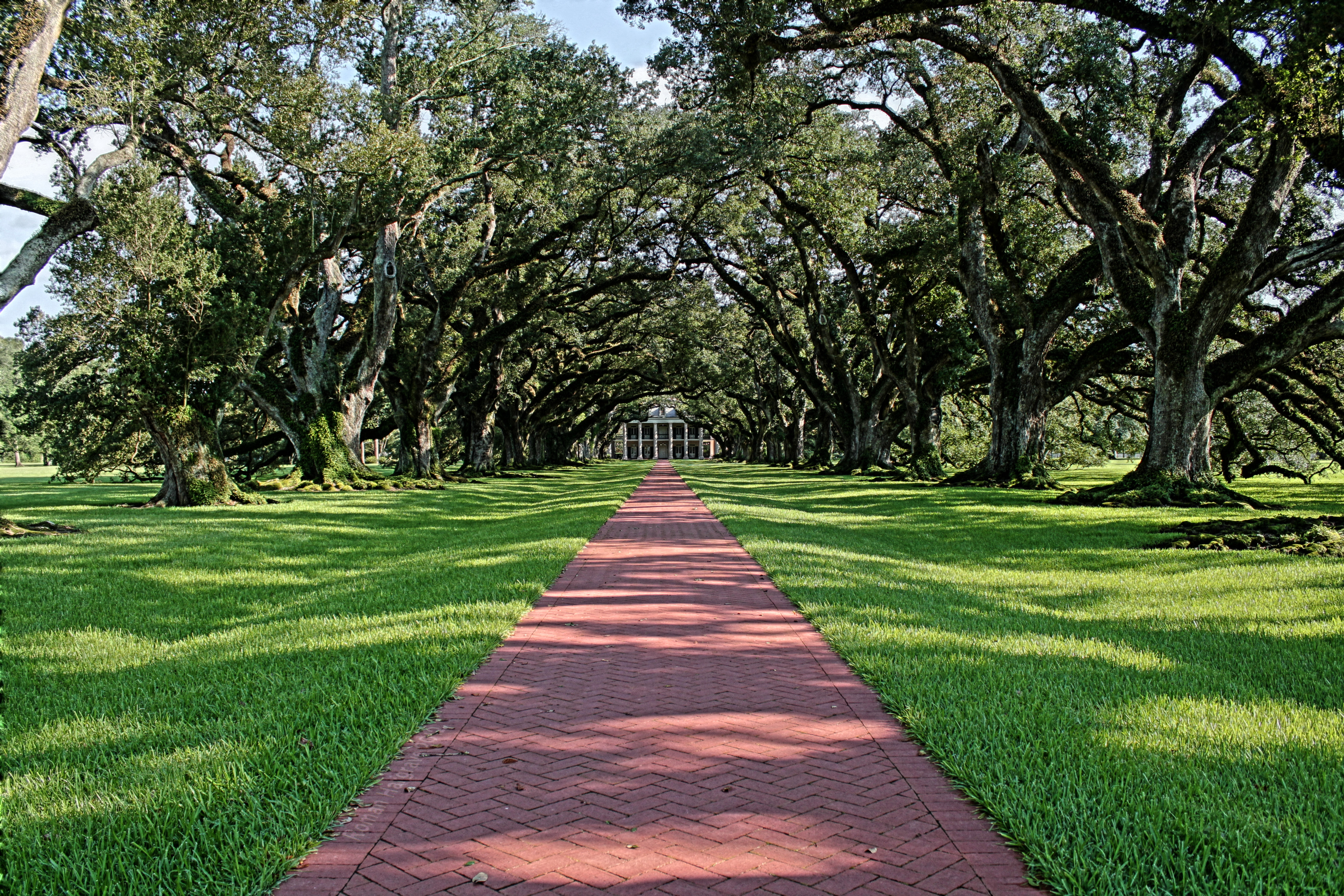 Oak Alley Facing Mansion