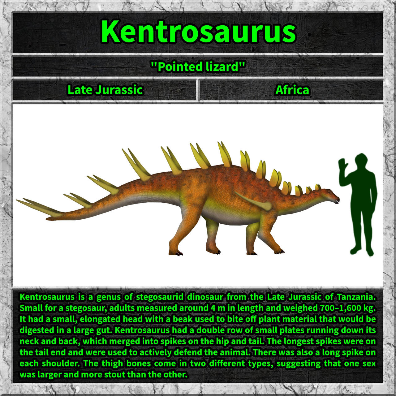 Kentrosaurus by UnexpectedDinoLesson on DeviantArt