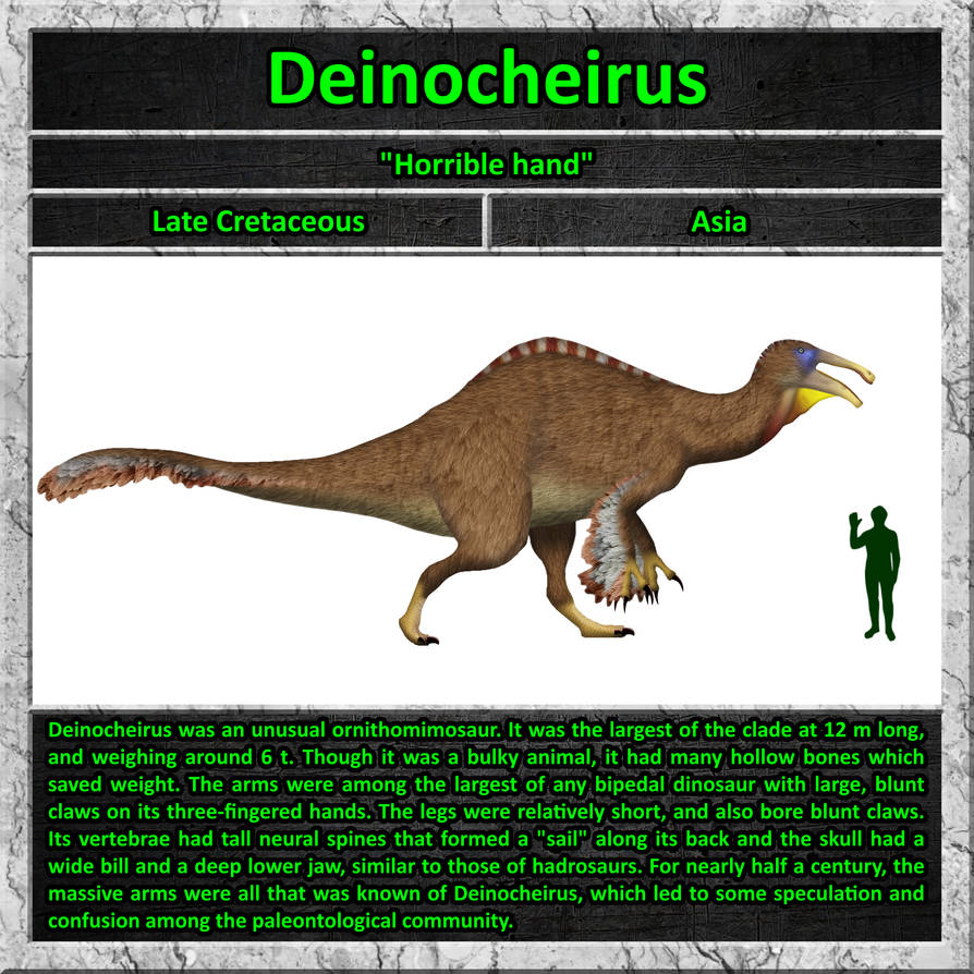 Deinocheirus Study by EmilyStepp on DeviantArt