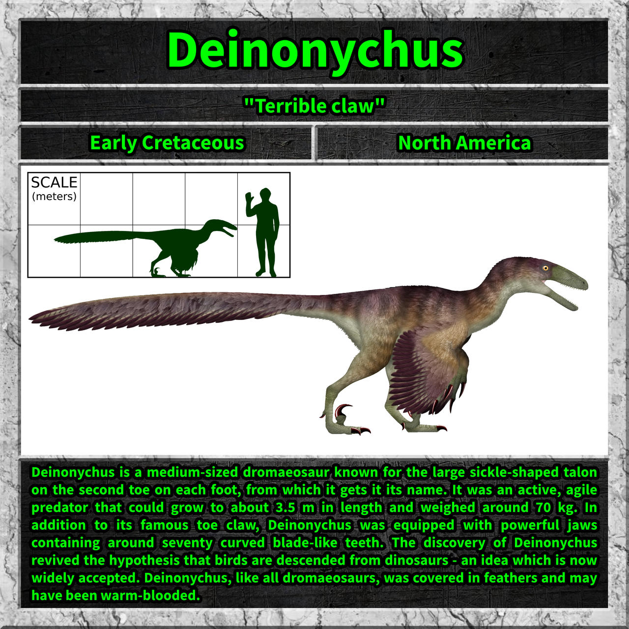 Deinonychus by cisiopurple on DeviantArt