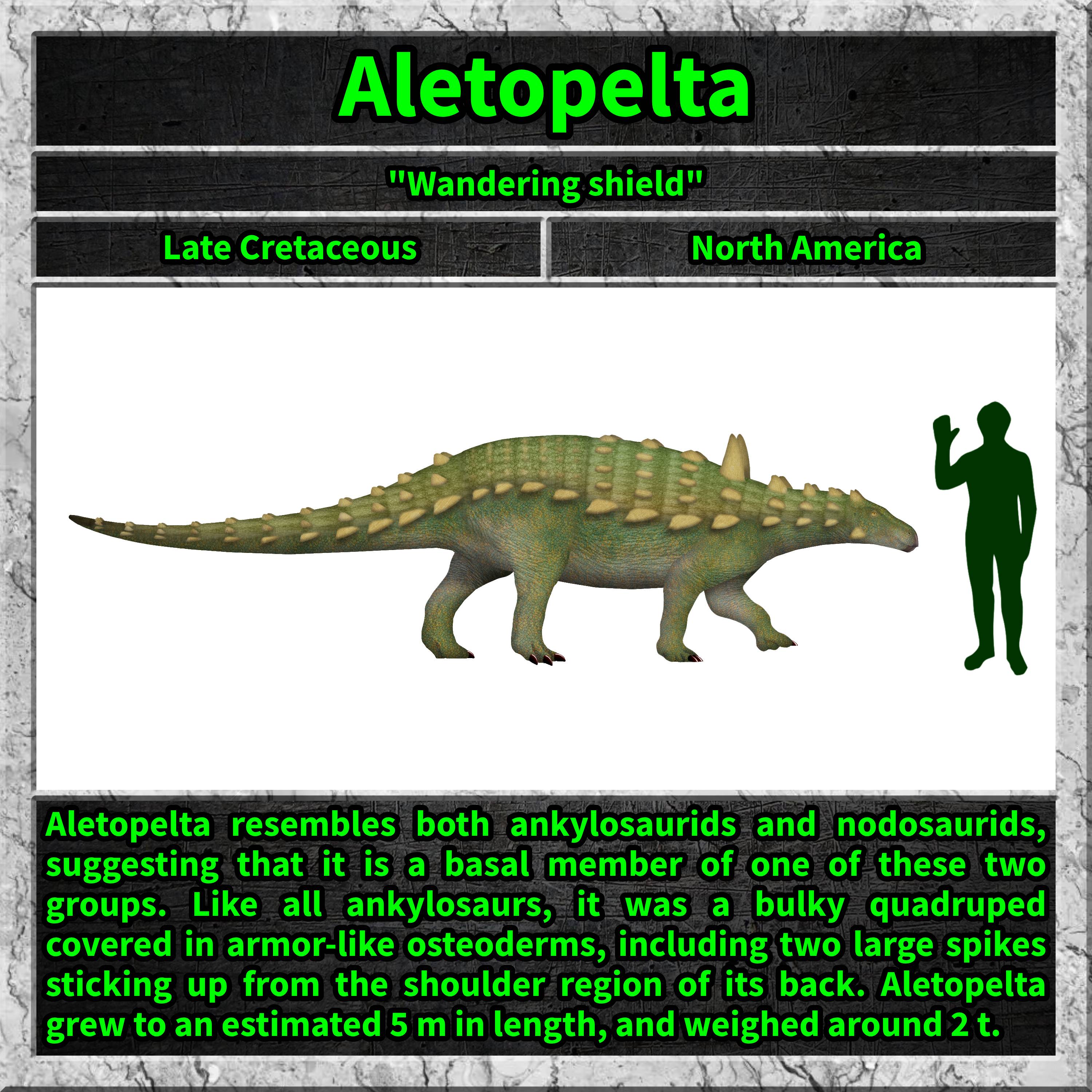 Aletopelta