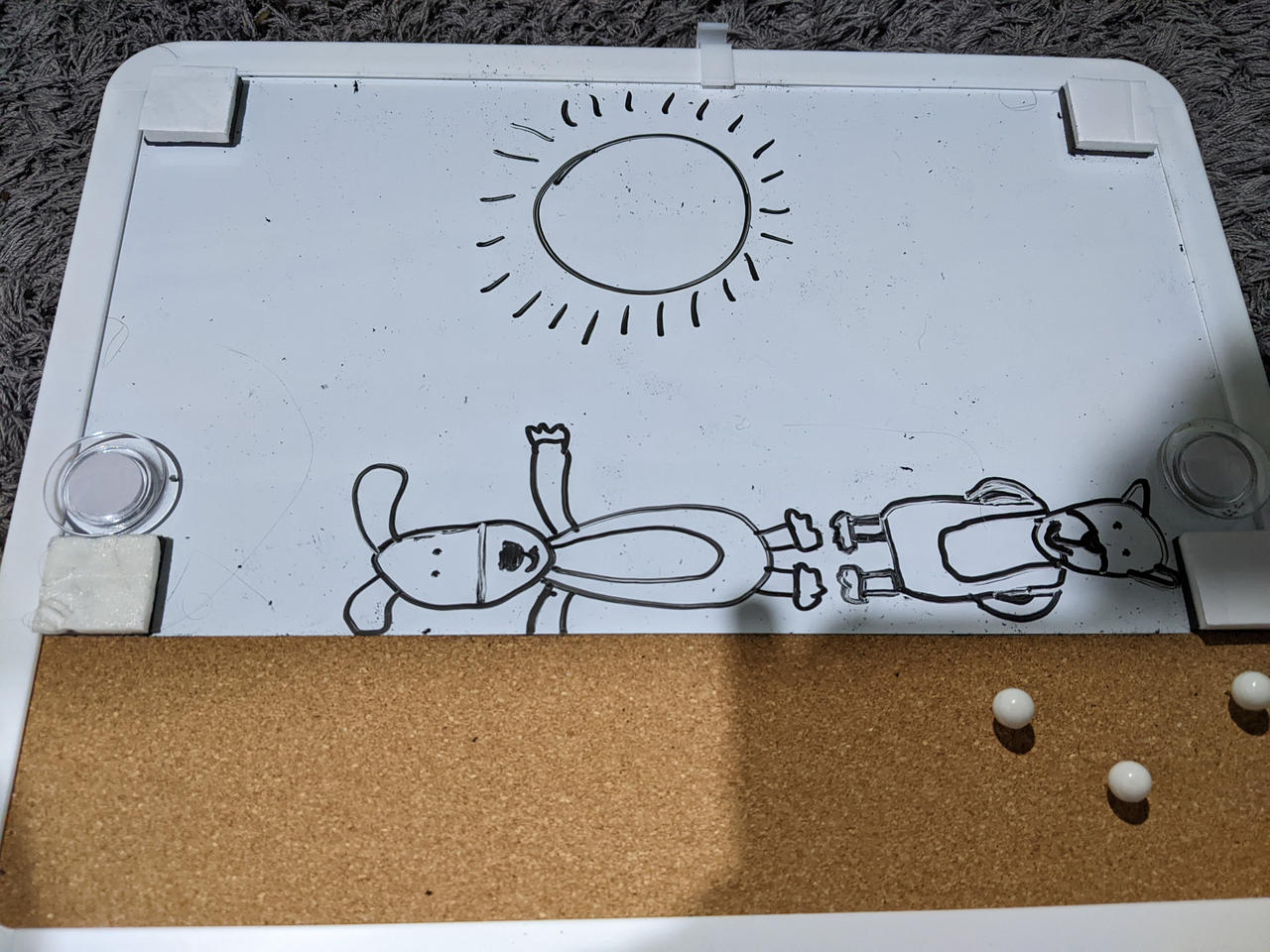 Kipper and Tiger laying in the sun