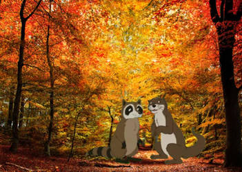 Raccoon and Otter checking out Fall Trees